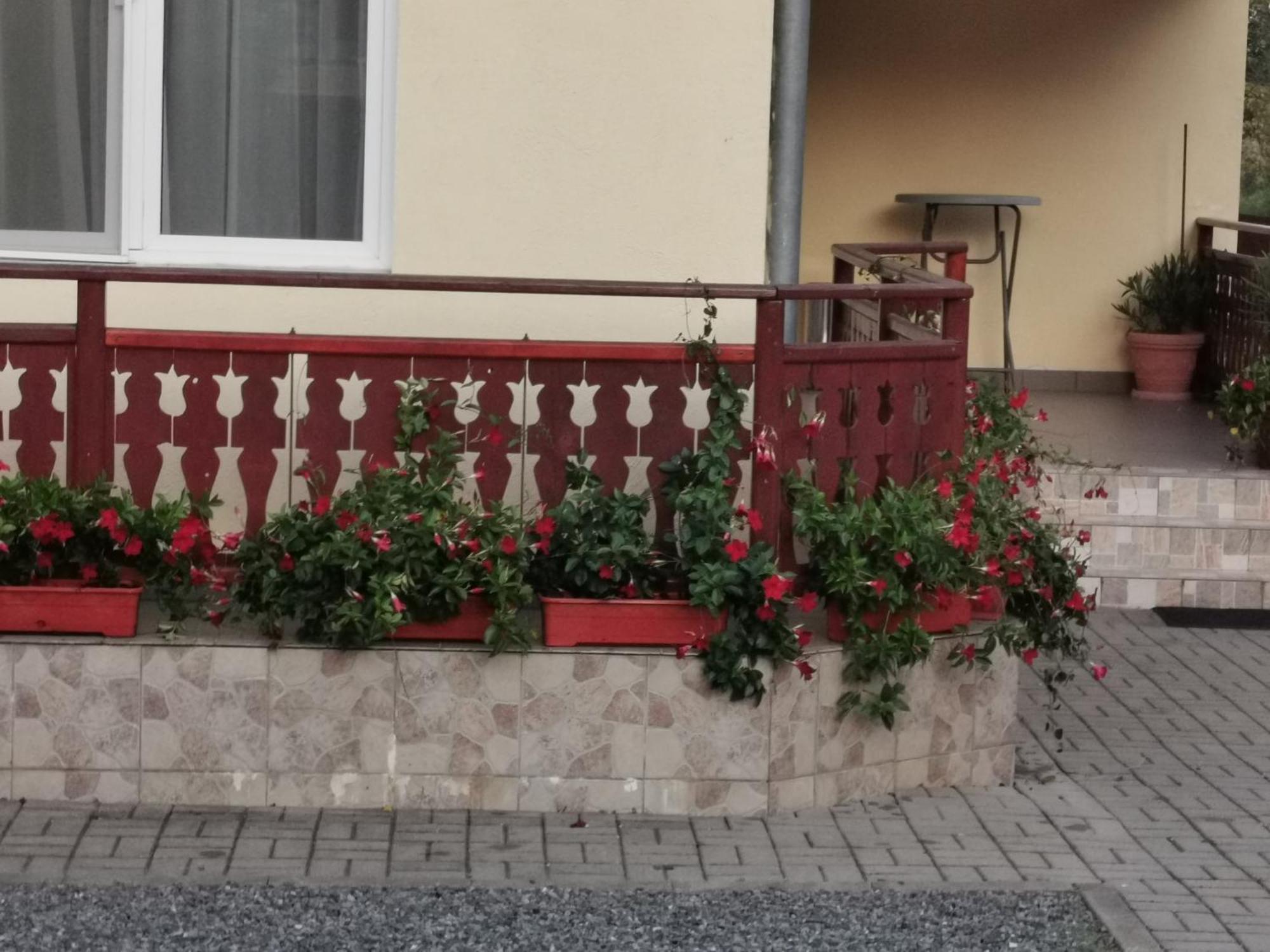 Double Room with Private Bathroom,1544604022:JPEG