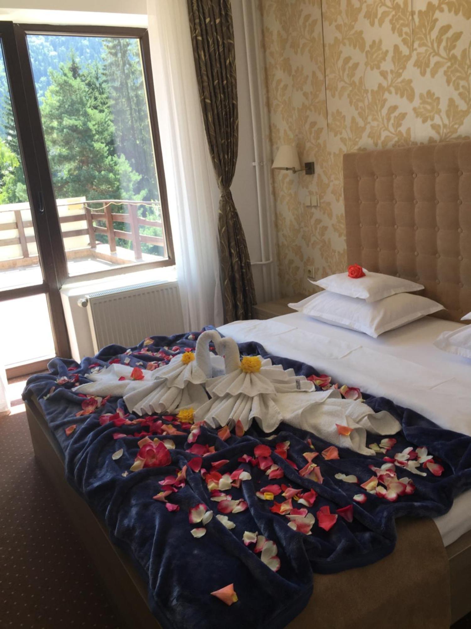 Double or Twin Room,727920574:JPEG