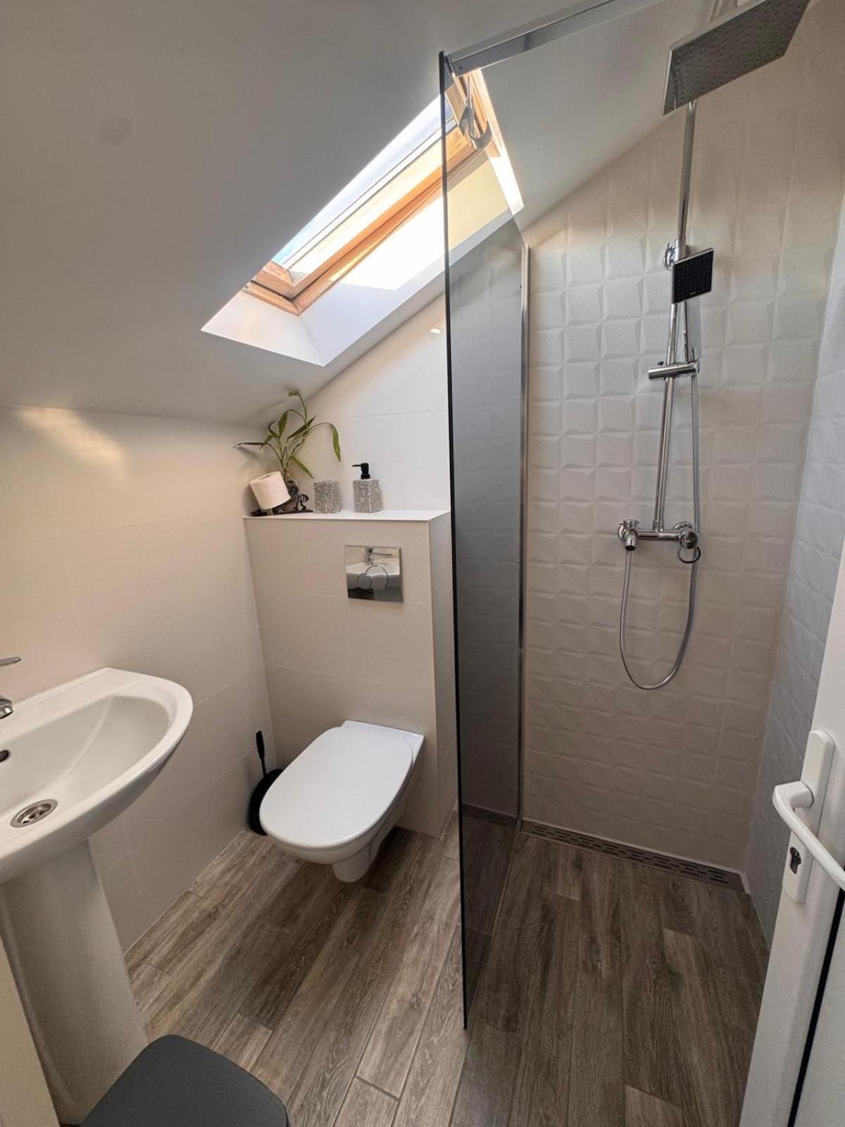 Cameră dublă cu baie privată - la mansardă