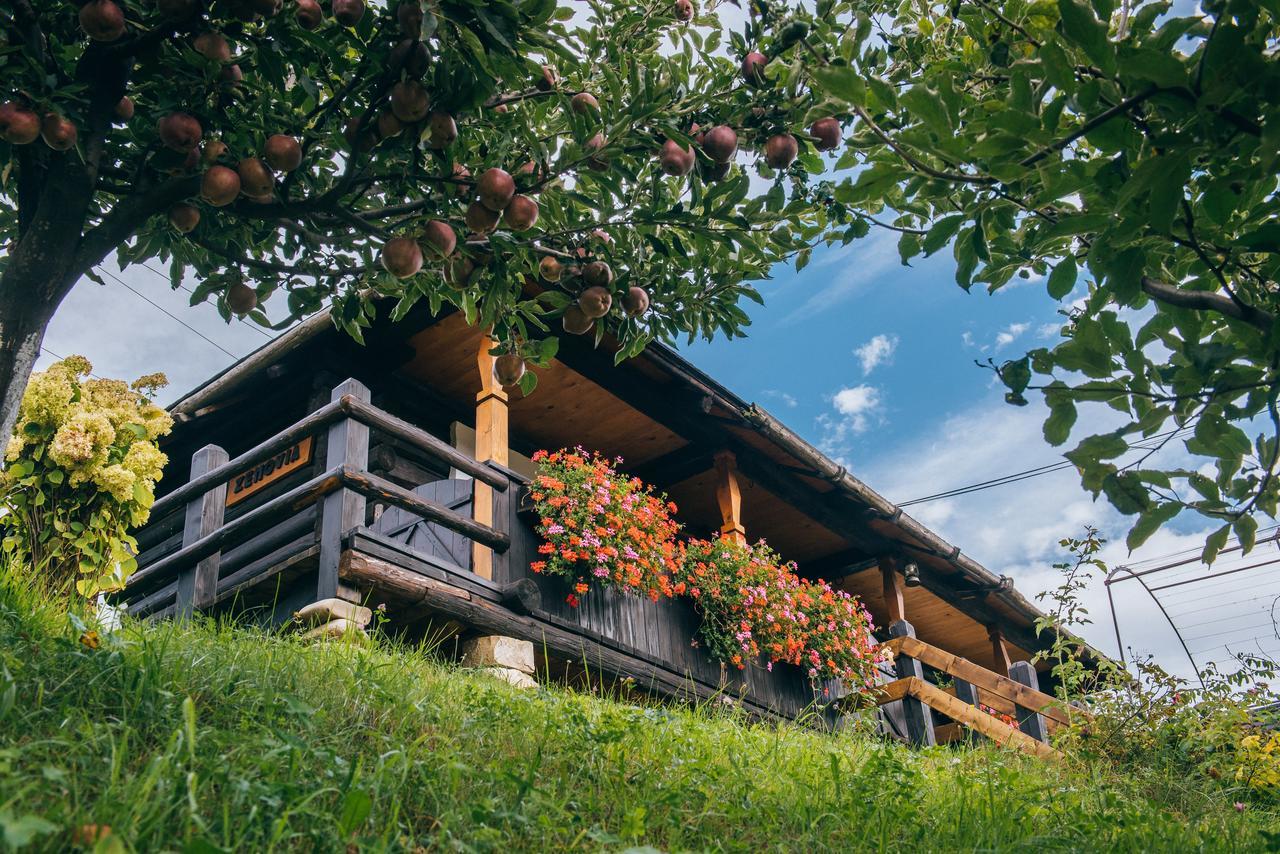 Cottage Zenovia,537669645:JPEG