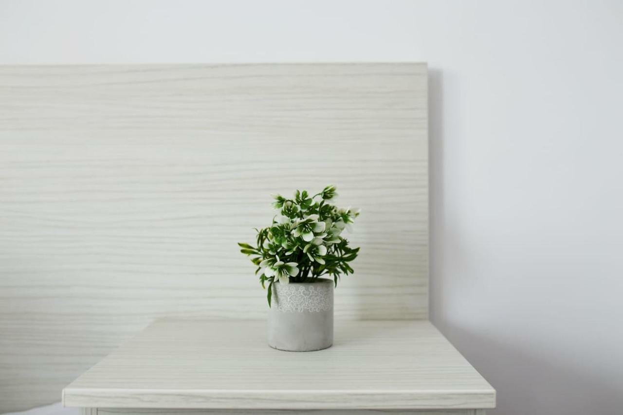 Double Room,784034163:JPEG