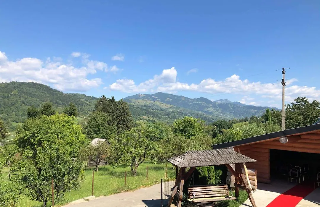 Vila Deluț-1