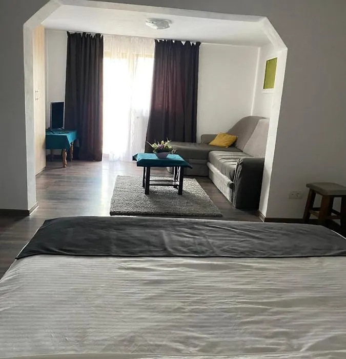 Vila Sorina-1