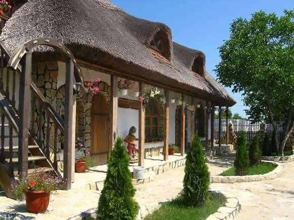 Casa cu flori Murighiol-1