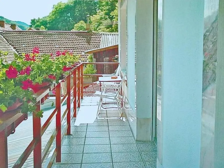 Casa Flavius - Ca La Mama Acasa-1