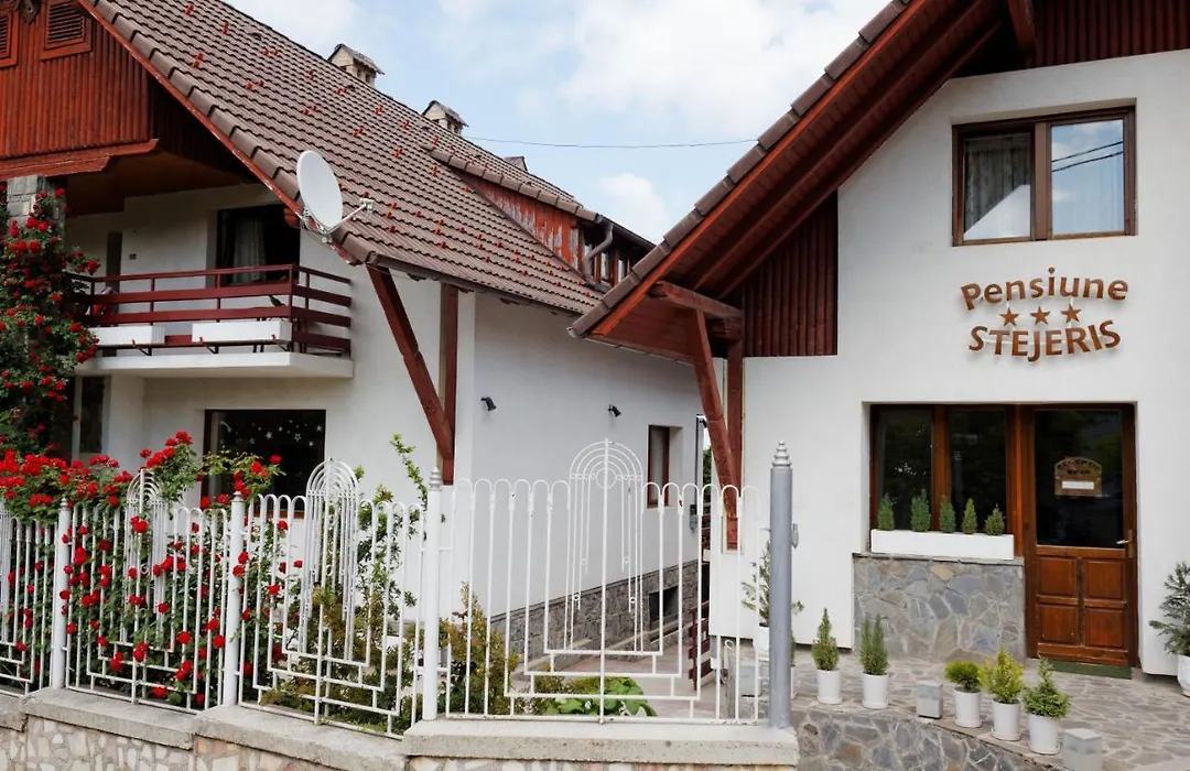 Pension Stejeris-1