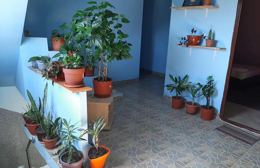 Casa Ana-1