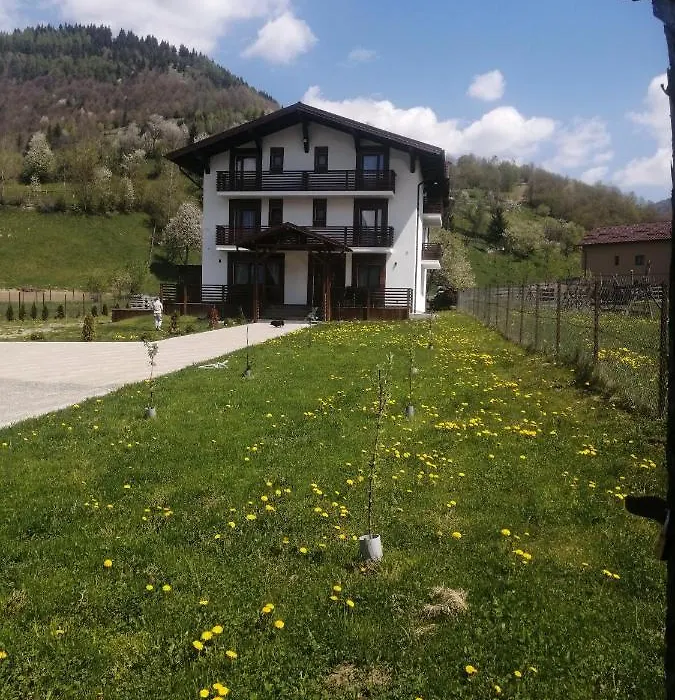 Pensiunea ACASA LA VLADUȚ-1