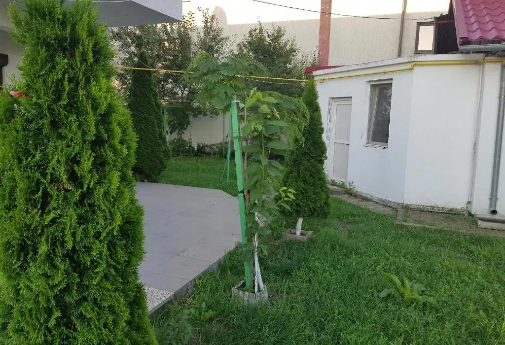Vila Orizont-1