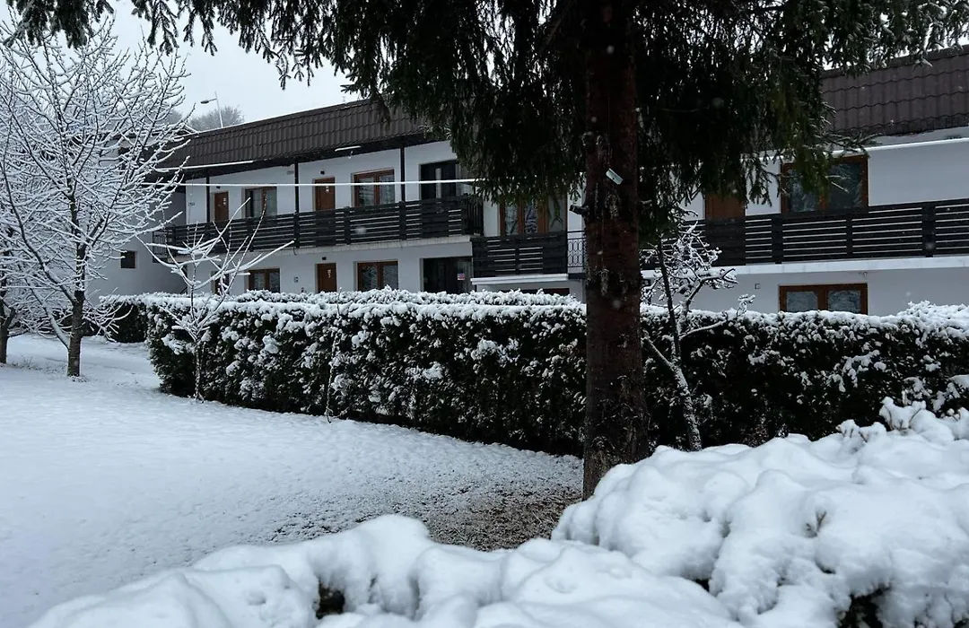 Pensiunea Bavaria Campina-1