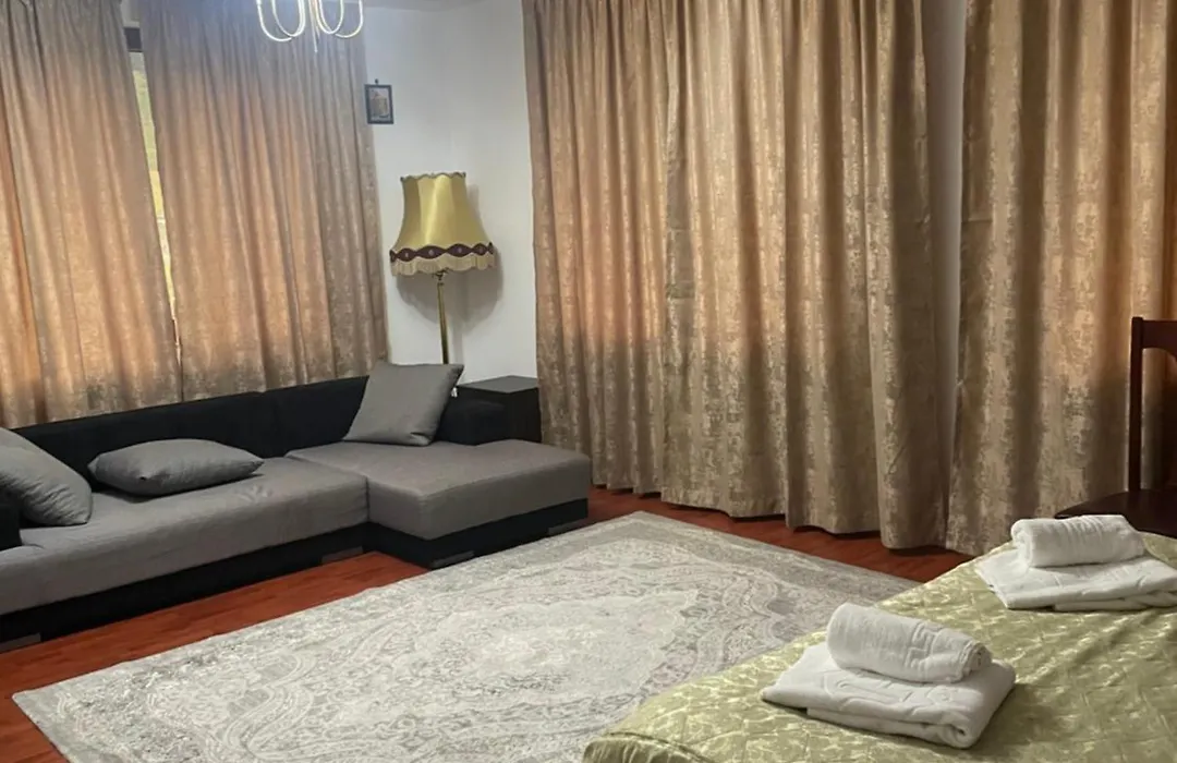 Casa Voronet-1