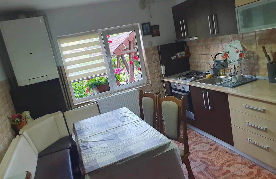 Casa Flavius-1