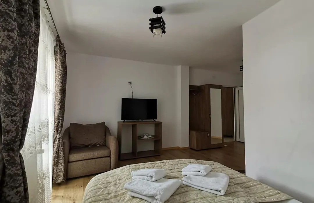 Casa Dana Olteanu-1
