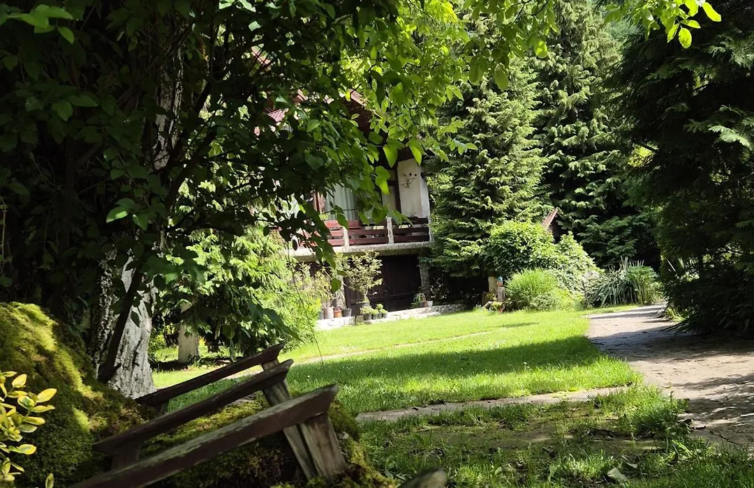 Pensiunea Dumbrăvița-1