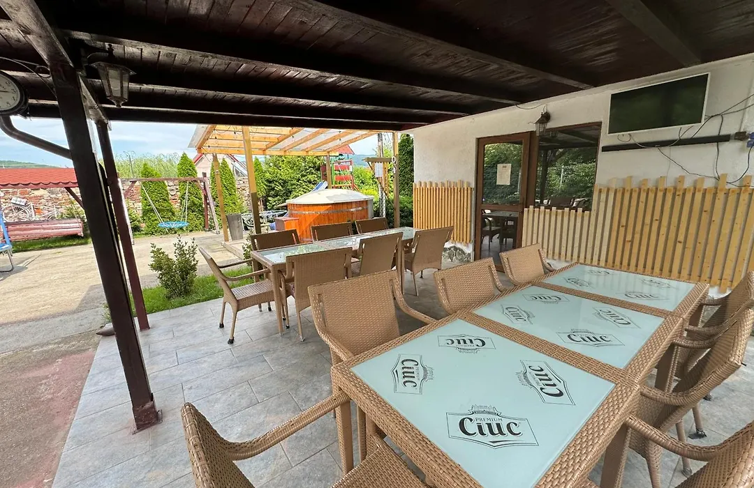 Pensiunea Casa Rica-1