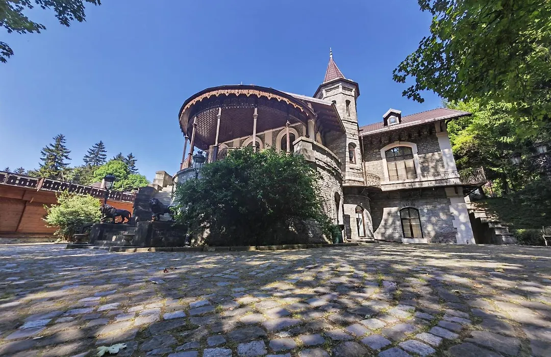 Castelul Stirbey-1