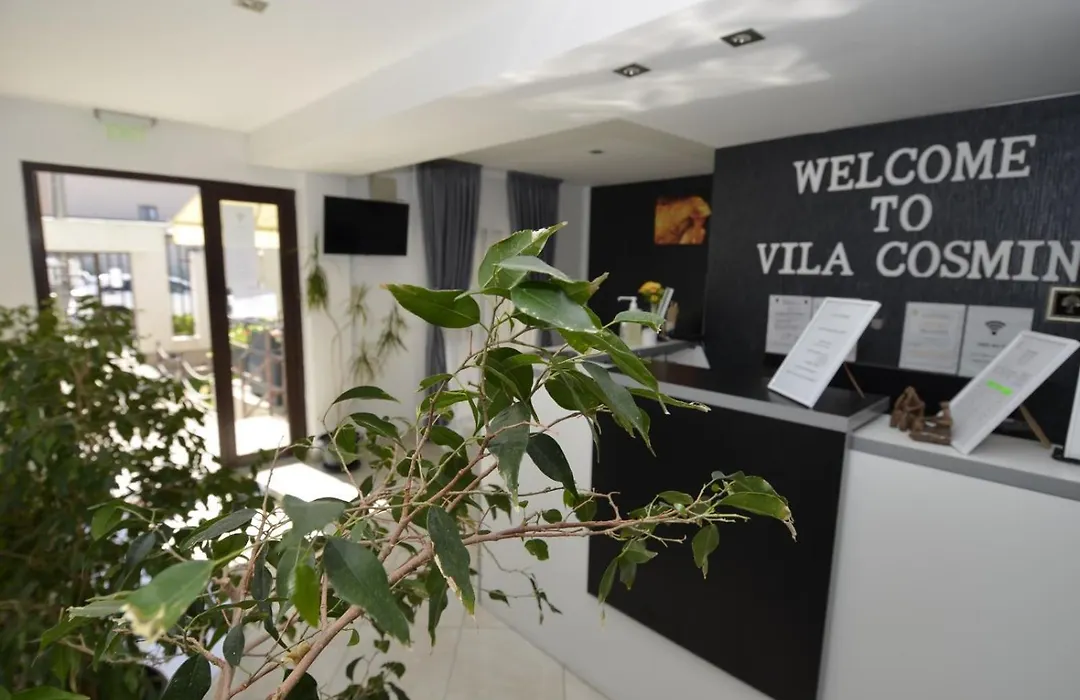 Vila Cosmin-1
