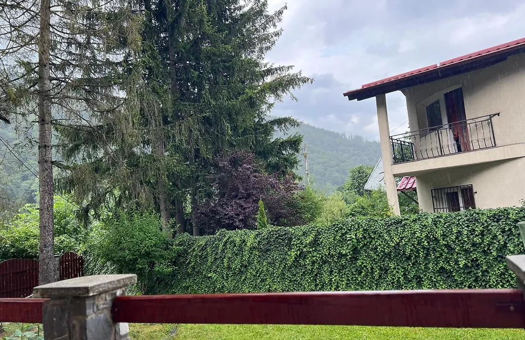 Red House Sinaia-1