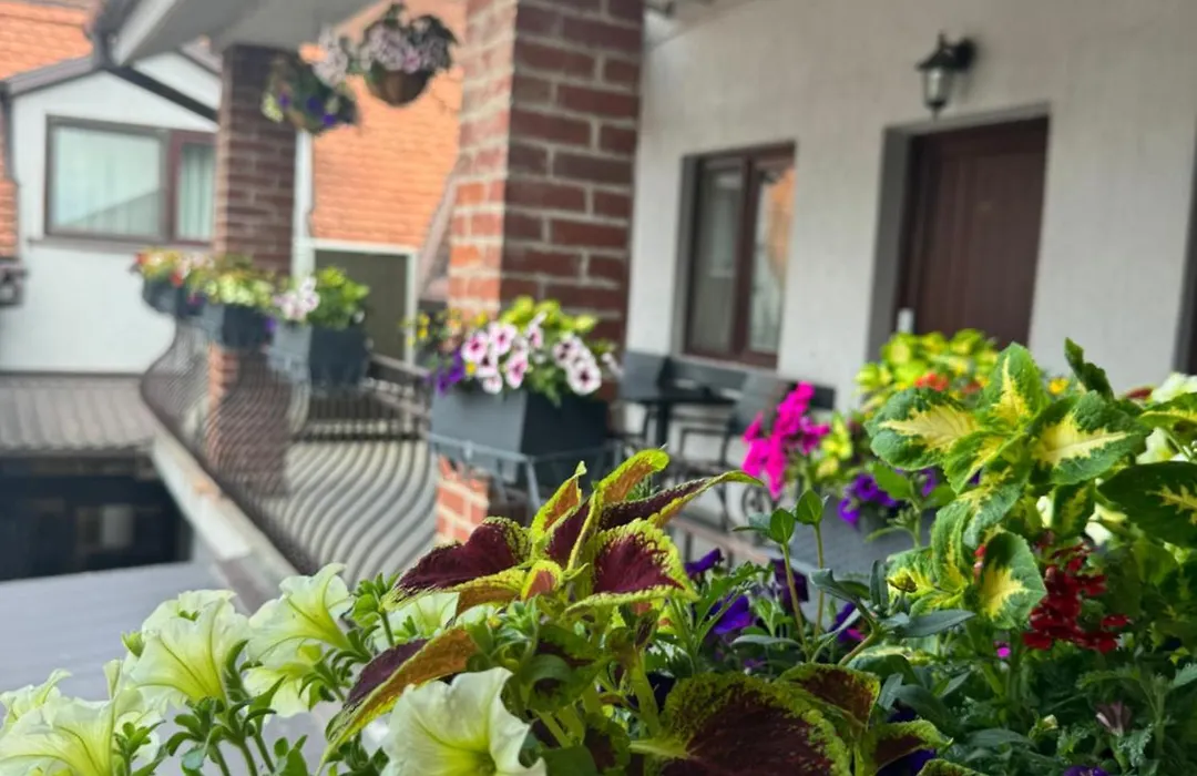Casa Mignon-1