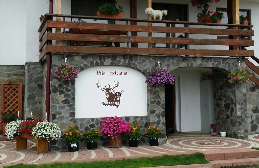 Vila Stefana Paltinis-1