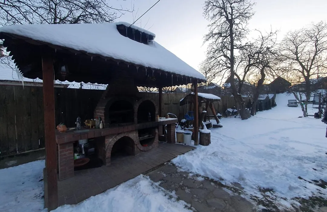 Pensiunea Leia Cârțișoara-1