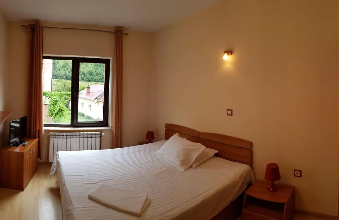 Pension Camelia-1