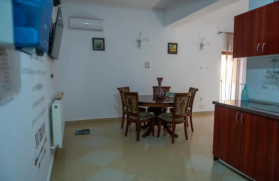 Vila Nicoleta-1