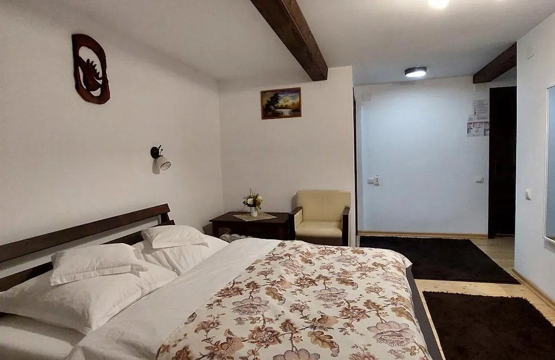 Pensiunea Montan-1
