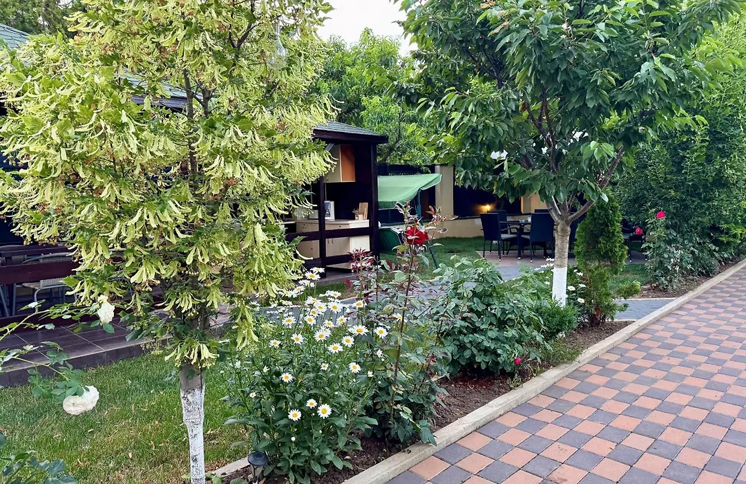 Vila Dan și Silvia-1