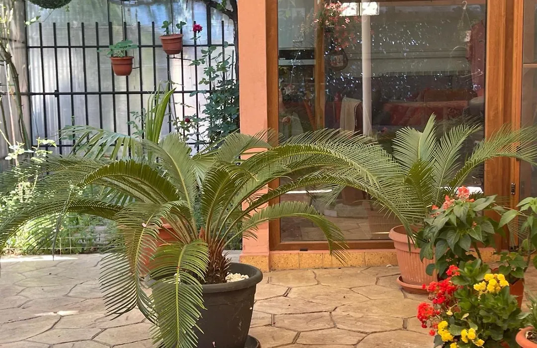 Vila Toro-1