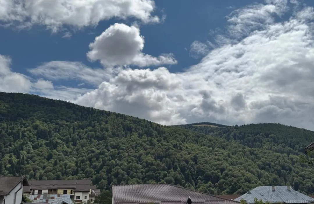 Amandra Chalet-1
