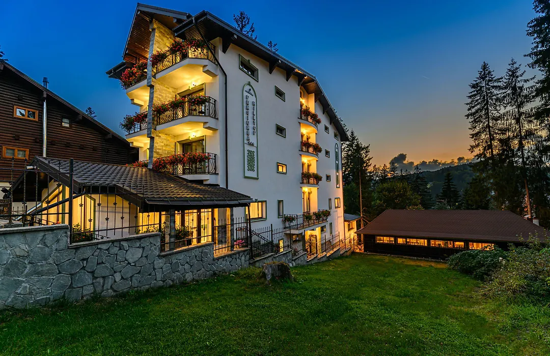 Pensiunea Hilltop-1