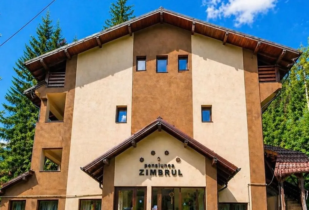 Pensiunea Zimbrul-1
