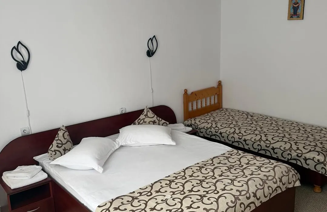 Pensiunea Sorina Casa Alba-1