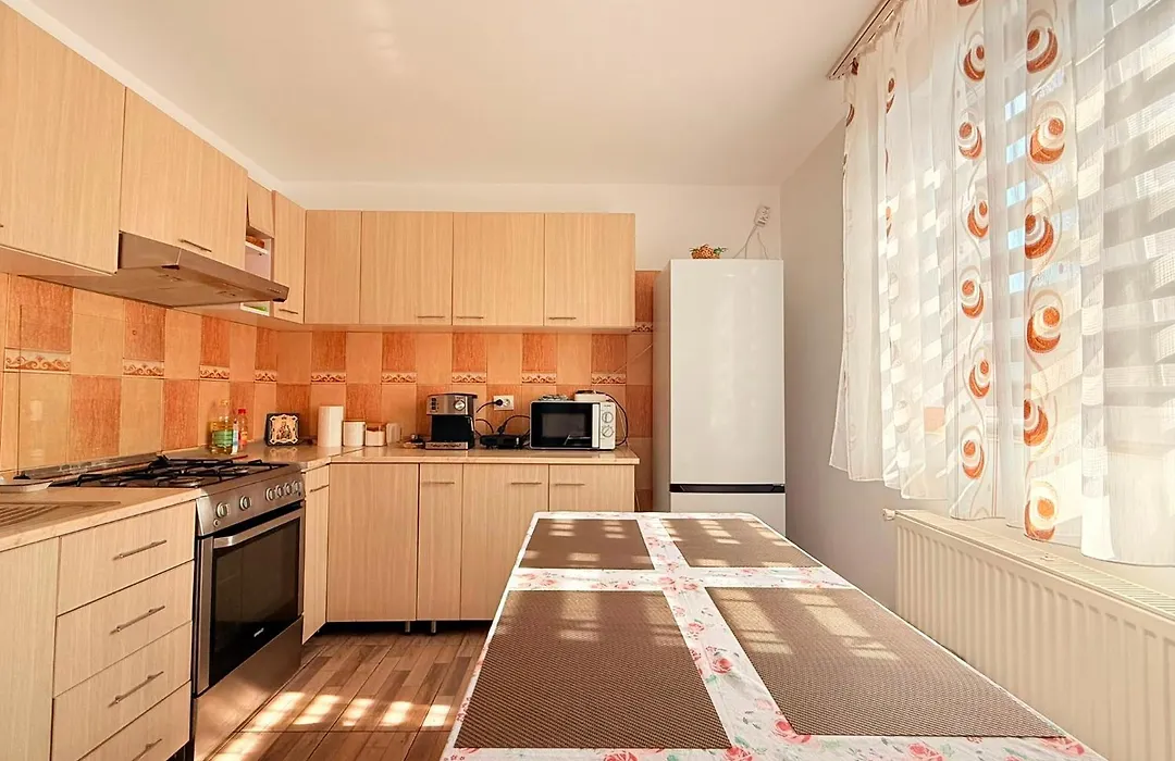 Vila Dragomir-1