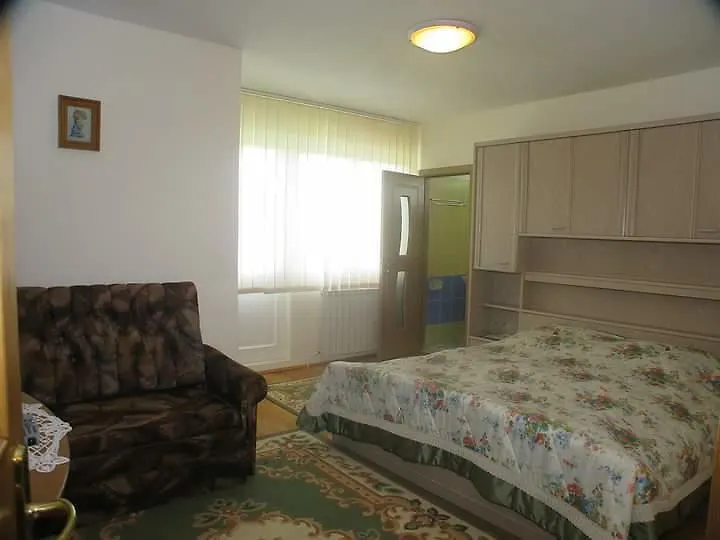 Vila Vlad-1