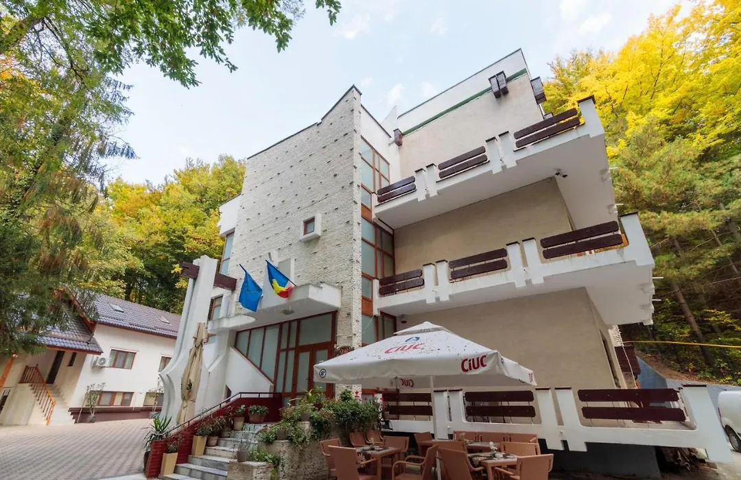 Former Ceausescu's Vila Crizantema-1