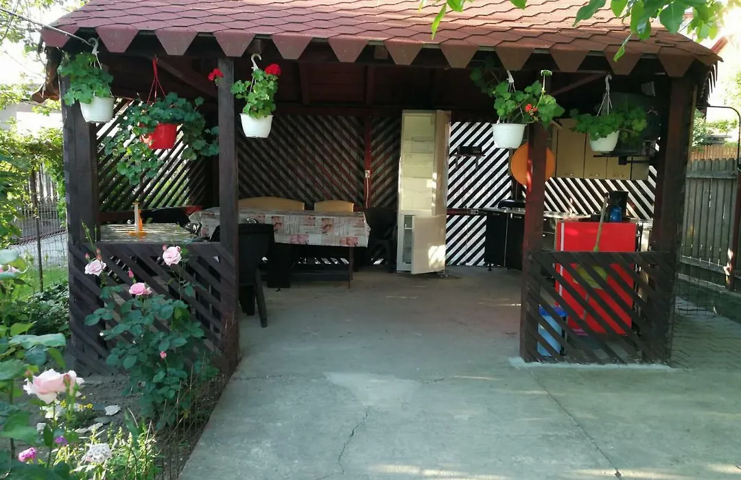 Vila Mirela Costinesti-1