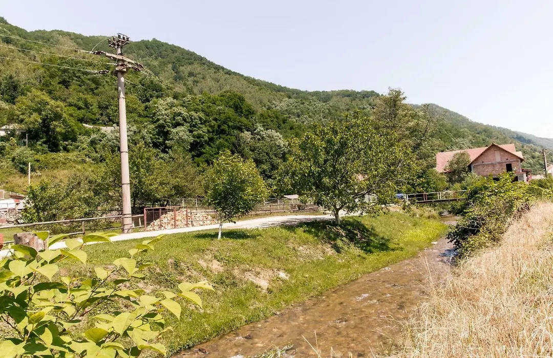 Vila Rodica Transalpina-1