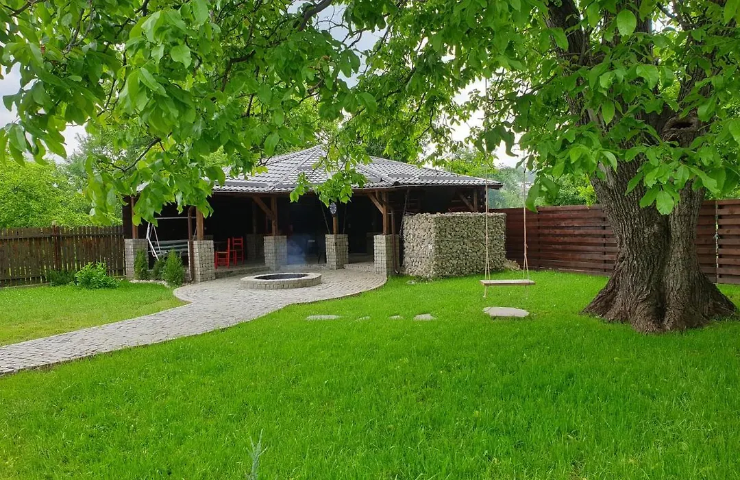 Casa Pisica Noastra-1