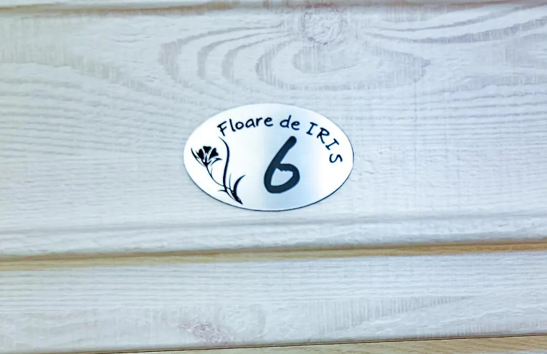 Floare de Iris-1