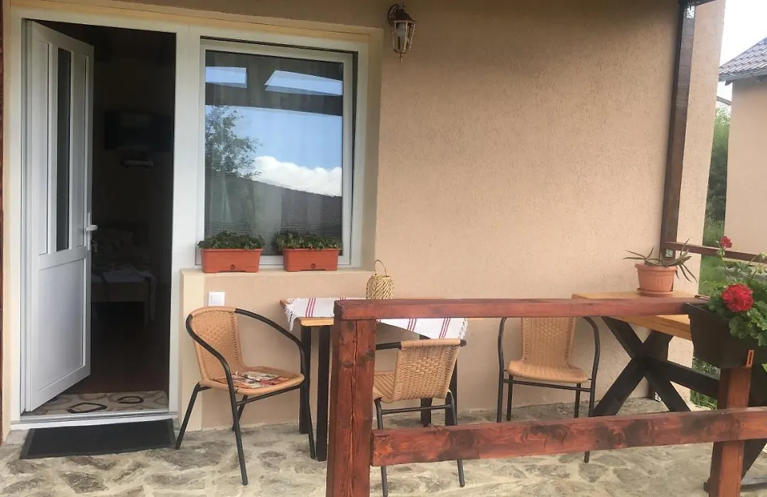 Casa Albert Valea Avrigului-1