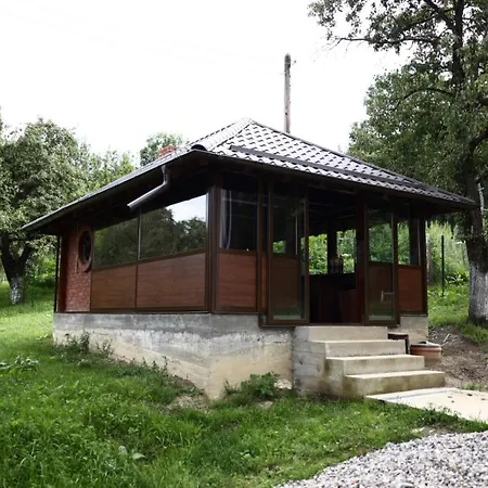 Hățașul Bunicului-2