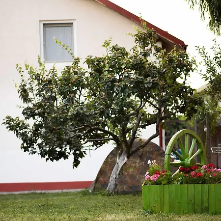 Vila toate Panzele Sus-2