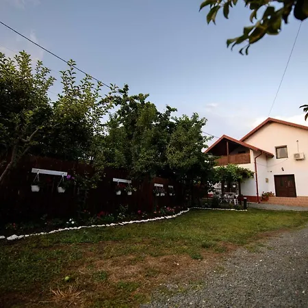 Vila toate Panzele Sus-3
