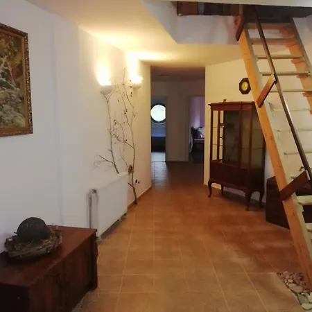 Domurile din Zărnești-2