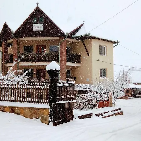 Pensiunea Bordás Panzió-2