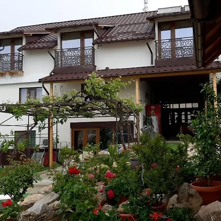 Casa Sviniceană-3