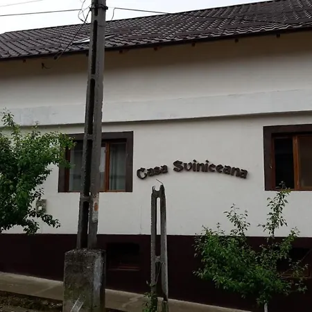 Casa Sviniceană-2