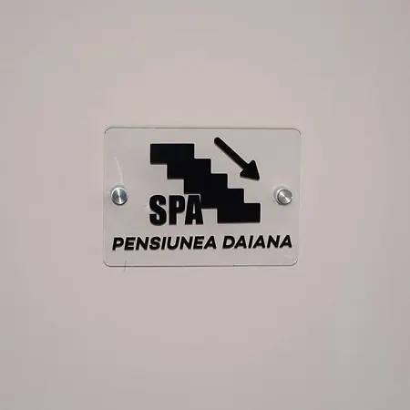 Pensiunea Daiana-3